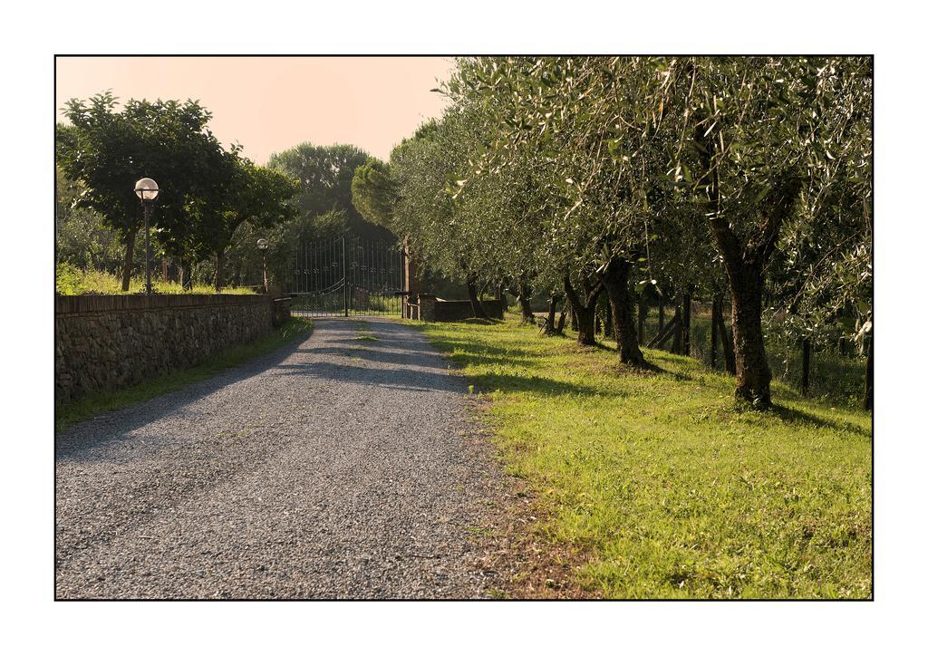 B&B Casale Virgili Siena Exterior photo